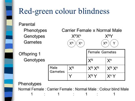 is red green color blindness recessive|colour blindness recessive or dominant.